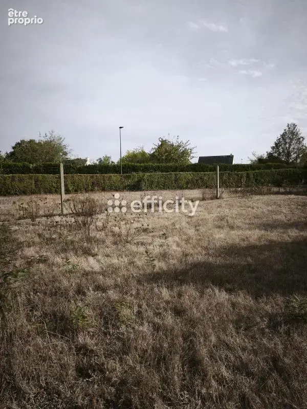 Terrain 250 m² à vendre à Brusvily (22100) - photo 3