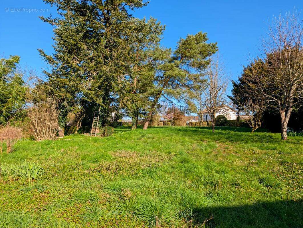 Maison à LES ADJOTS