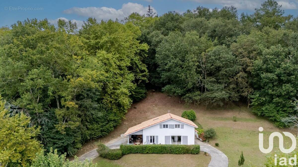 Photo 1 - Maison à SAINT-MARTIN-DE-SEIGNANX