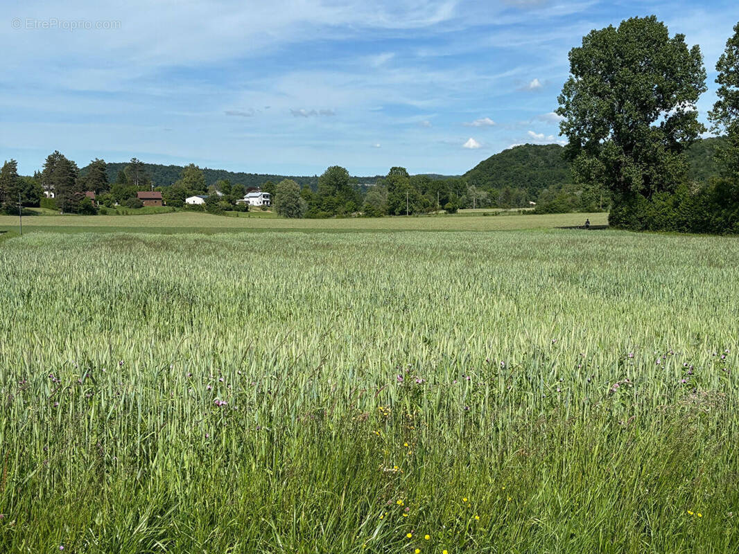 Terrain à DOUCIER