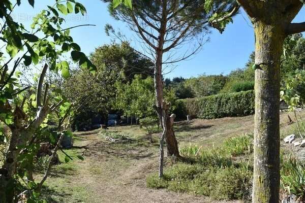 Maison à PAYRIN-AUGMONTEL