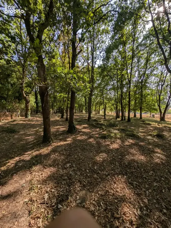 Maison 7 pièces - 165m2 - D'HUISON LONGUEVILLE - photo 14