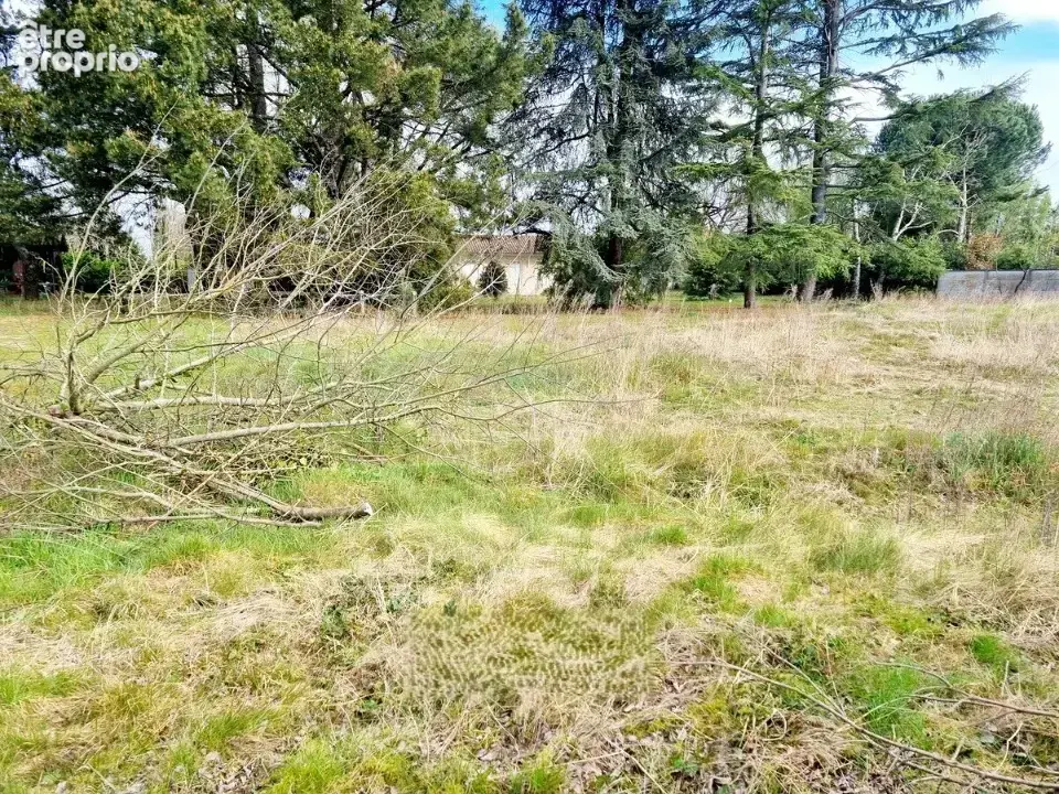Terrain 700 m² à vendre à Loupian (34140) - photo 3