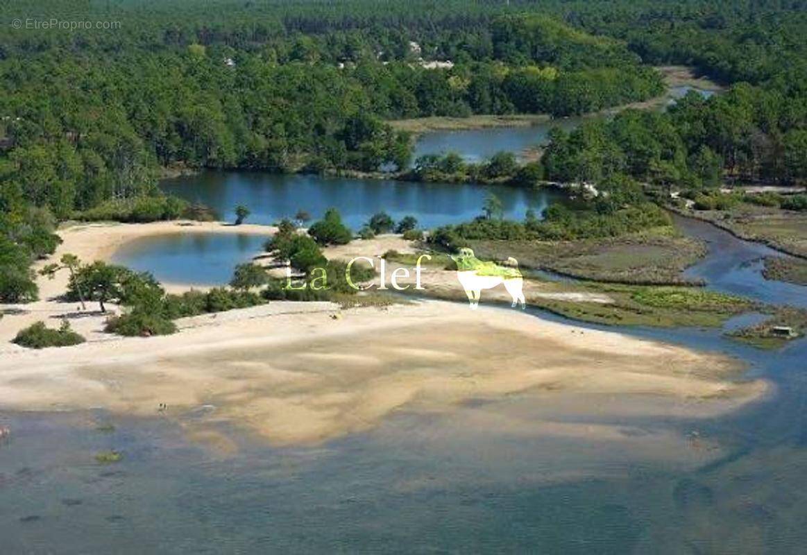 Commerce à LA TESTE-DE-BUCH