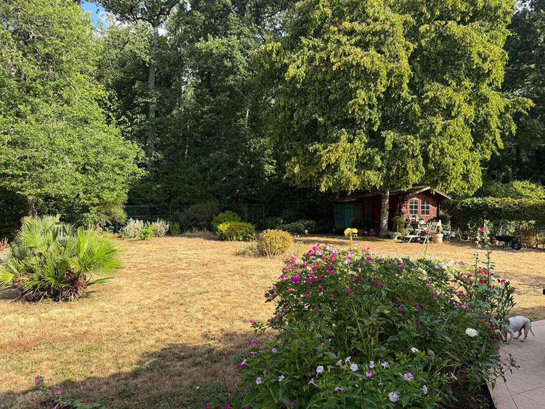 La privilégiée - ligugé - photo 4