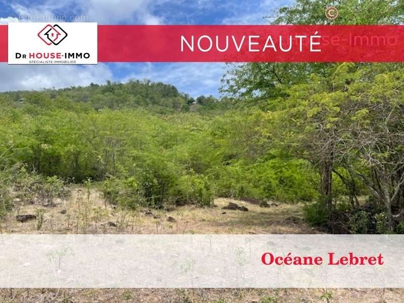 Terrain à BOUILLANTE