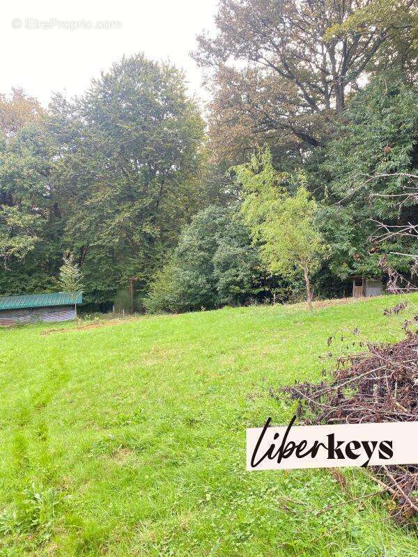 Terrain à SAINTE-COLOMBE