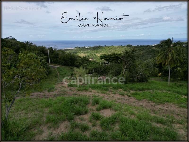 Terrain à LE CARBET