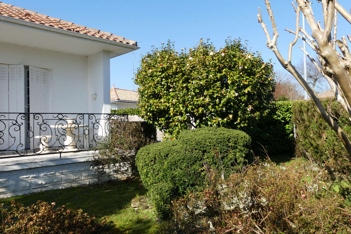 Maison traditionnelle de plain-pied avec terrasse et jardin de 1018 m2 - photo 3