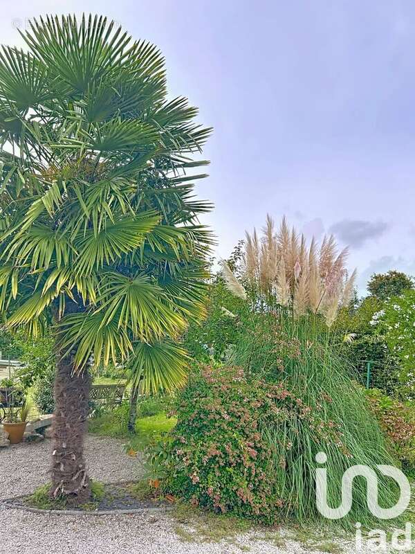 Photo 3 - Terrain à PLOEREN