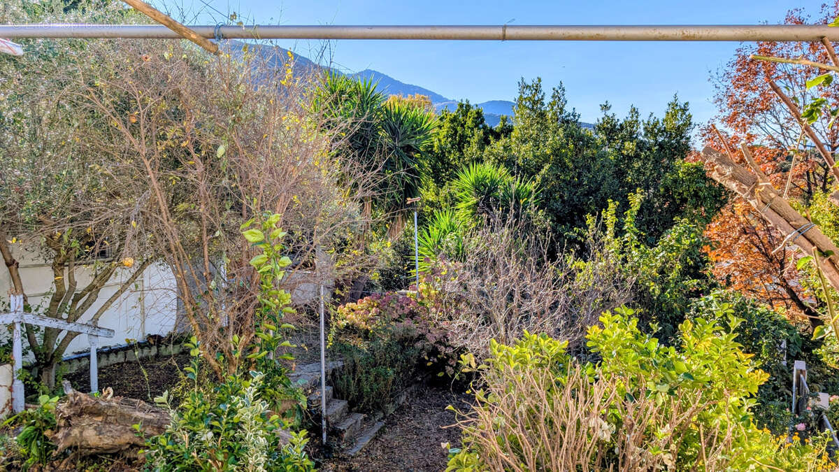 Maison à LAROQUE-DES-ALBERES