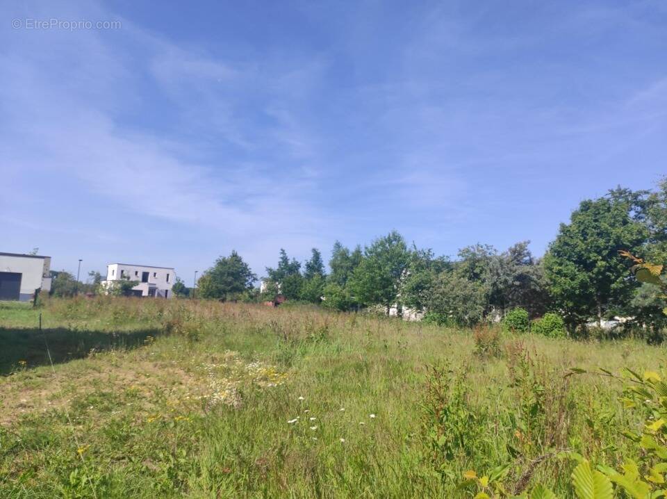 Terrain à HONFLEUR