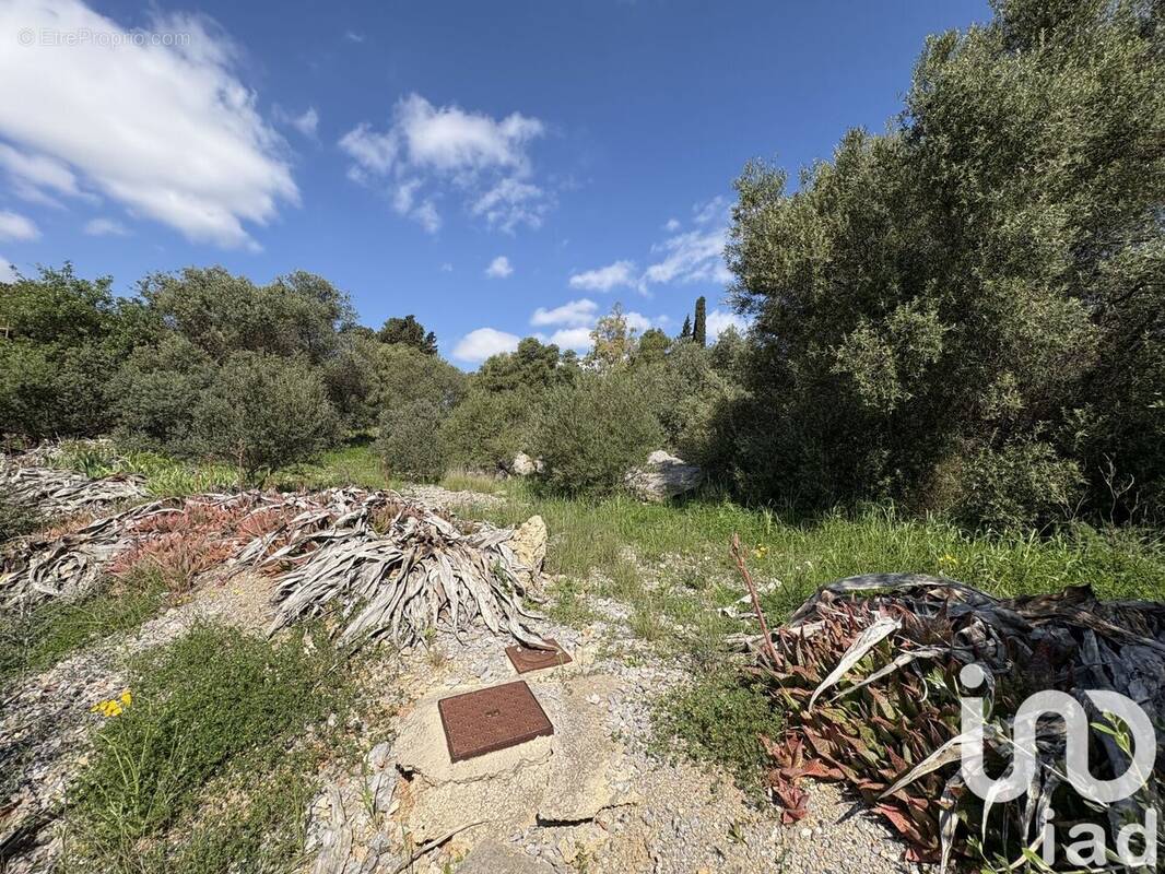 Photo 1 - Terrain à LA PALME