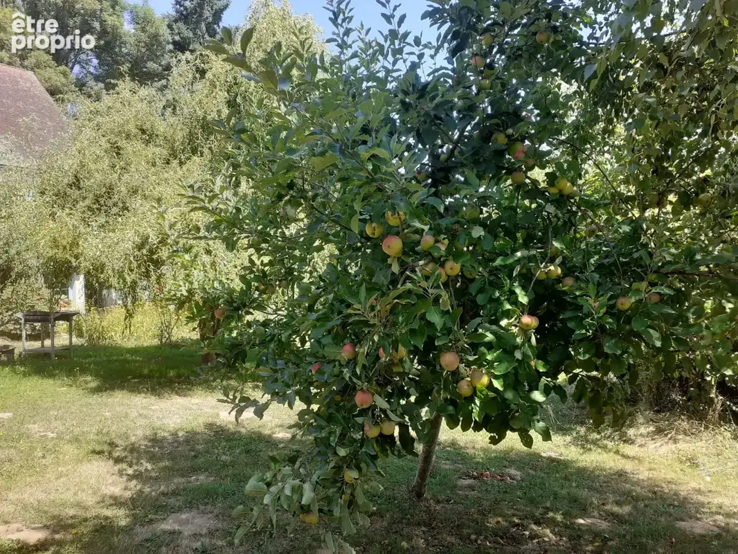 Maison de bourg rénovée avec grand jardin arboré - photo 15