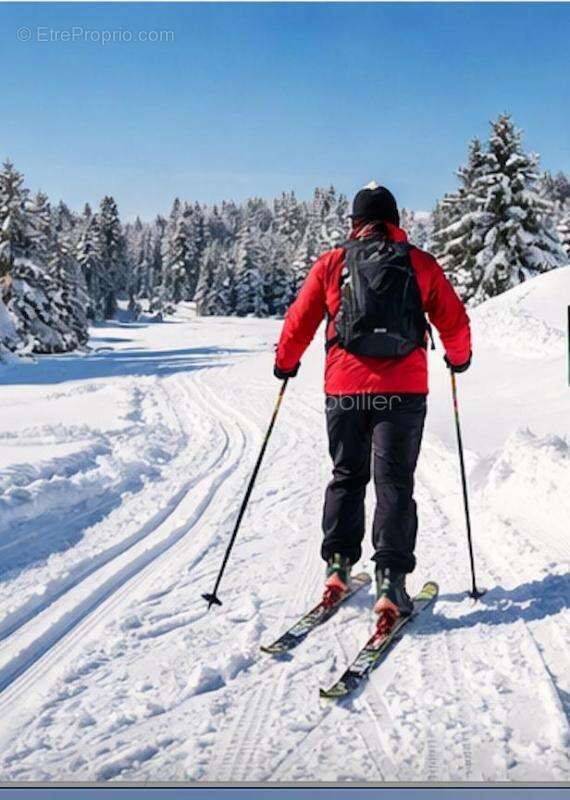 Commerce à LA PESSE