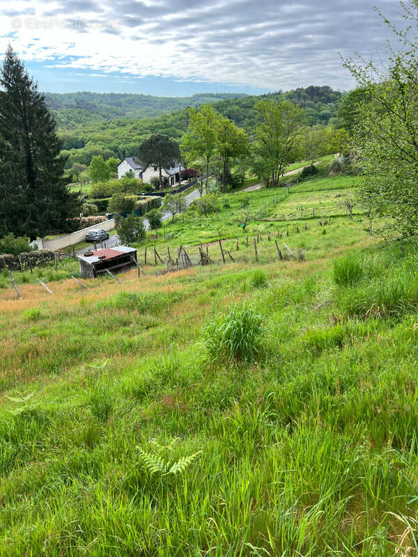 Terrain à BRIVE-LA-GAILLARDE