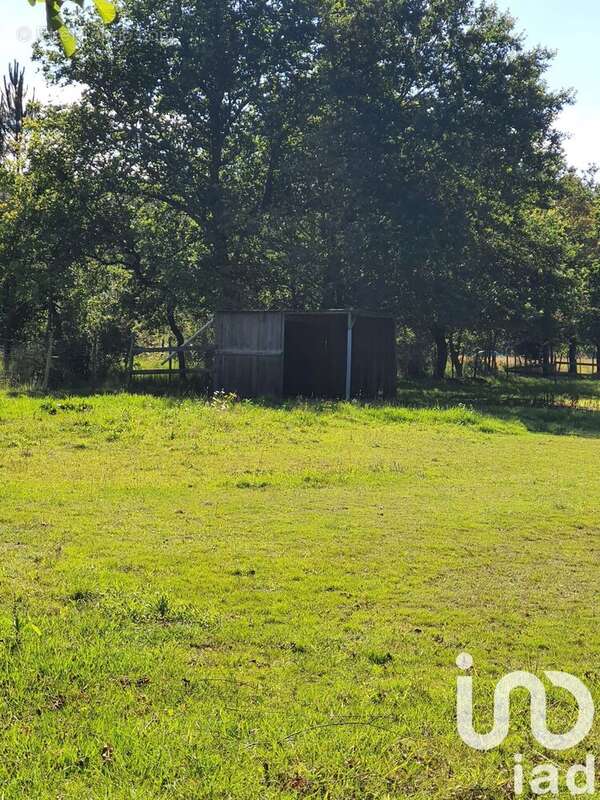 Photo 3 - Terrain à SALLES