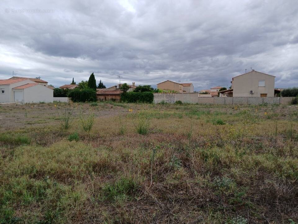 Terrain à MARSILLARGUES