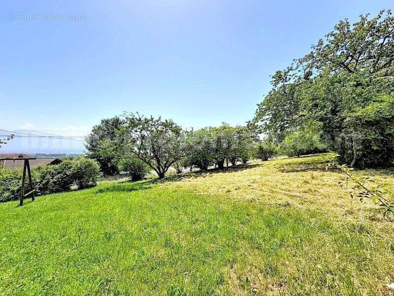 Terrain_constructible_bonne_proche_frontière_Suisse_Genève_ - Terrain à BONNE
