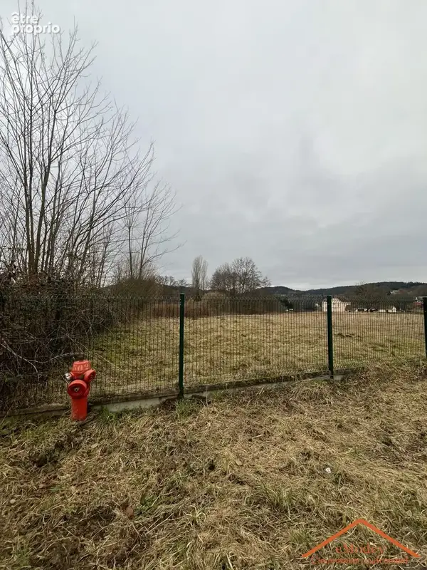 Terrain 1 300 m² à vendre à Epinal (88000) - photo 2