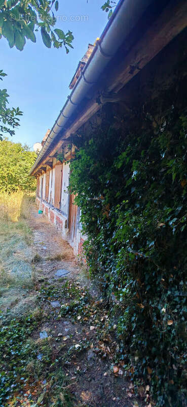 Maison type longère  83  M²  sur  2000 M²  de terrain - photo 9