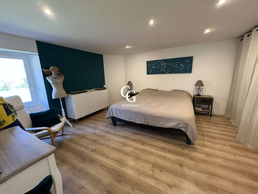 Maison à VIEILLEVIGNE