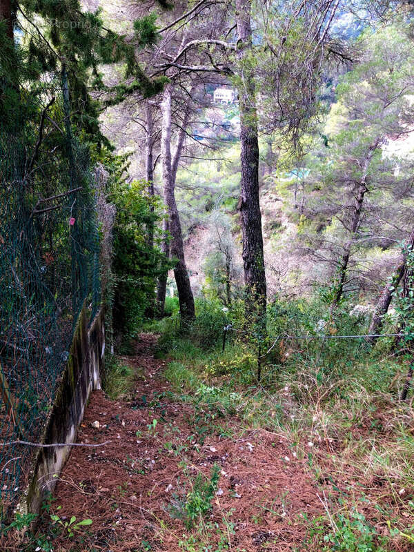 Terrain à TOURRETTE-LEVENS
