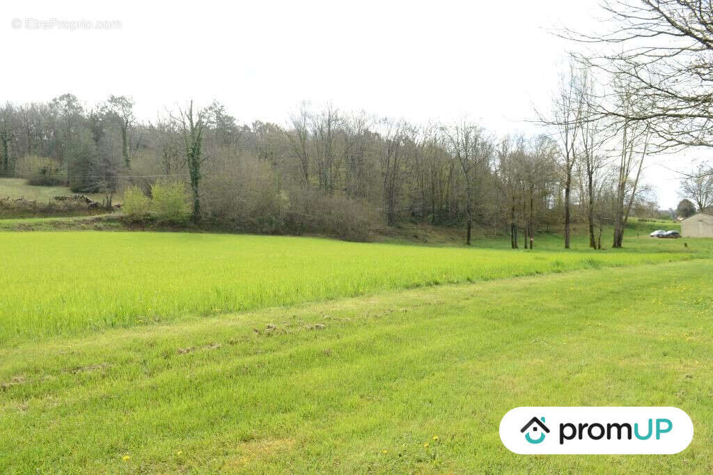 Terrain à CAMPSEGRET