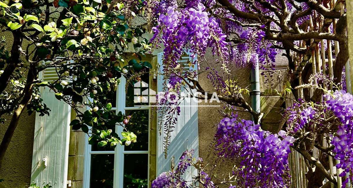 Maison à LA ROCHE-SUR-YON