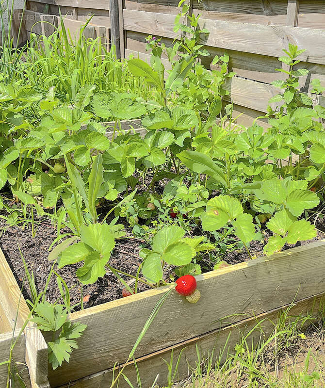Appartement à CHAVANOD