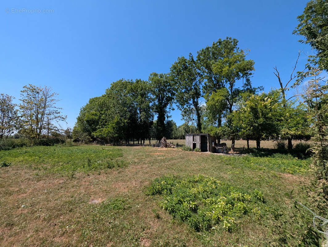 Longère en pierre à vendre au Mont-Dol  5 chambres  Dépendances  Terrain arboré de 7 000 m² - photo 16