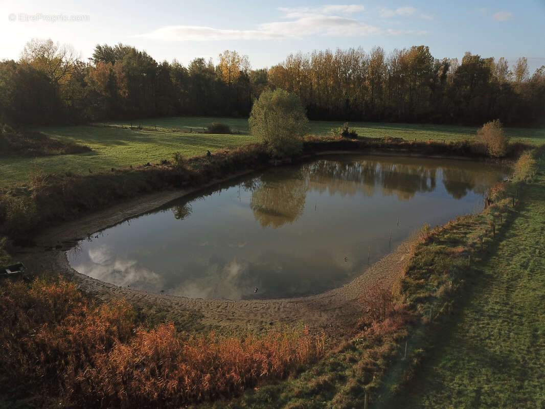 Terrain à WANDIGNIES-HAMAGE