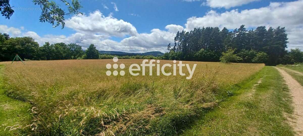Terrain à RUYNES-EN-MARGERIDE