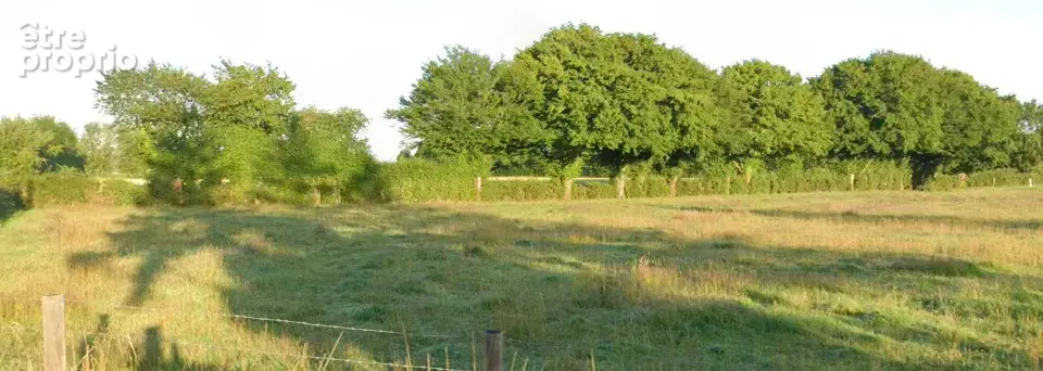 Terrain à CONTEVILLE