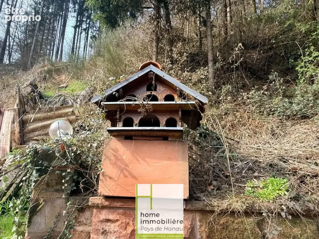 Reipertswiller - Belle maison au coeur de la nature - photo 9