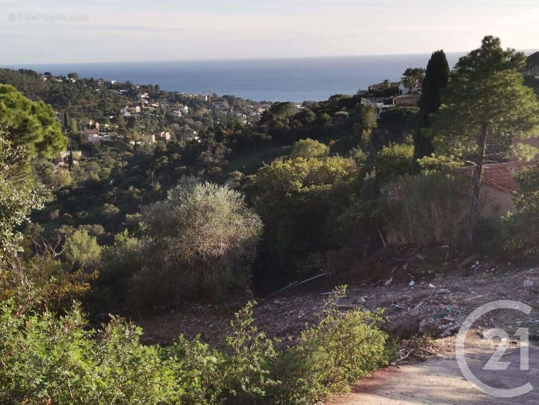 Terrain à ROQUEBRUNE-SUR-ARGENS