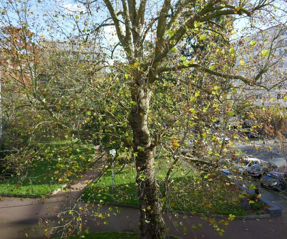 Appartement à ANGERS