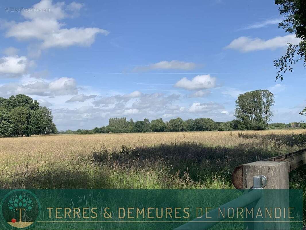 Dans le département de l'EURE, entre LIEUREY et PONT AUDEMER, A vendre en exclusivité un haras de 25 ha - photo 16