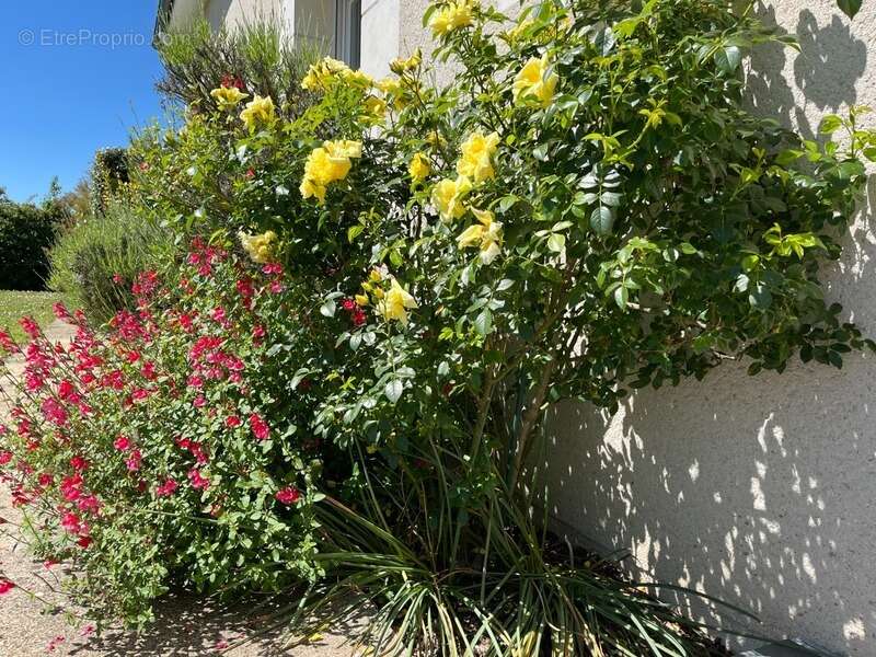 Maison à AZAY-LE-RIDEAU