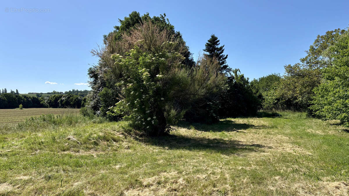 Maison à MONTELEGER