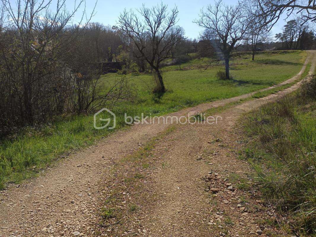 Grand terrain à bâtir de 4 689 m² à Tourtoirac - photo 5