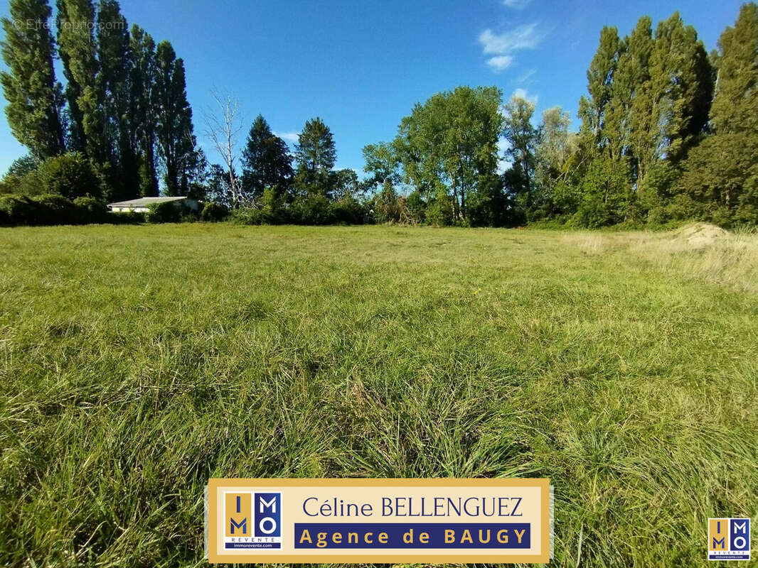 Terrain à BAUGY