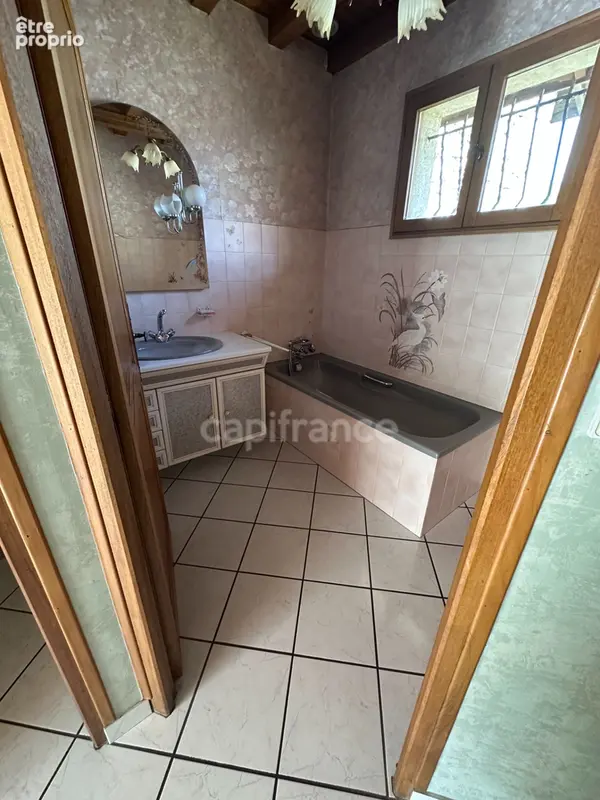 Maison à vendre 9 pièces POMMIERS LA PLACETTE (38) - photo 18
