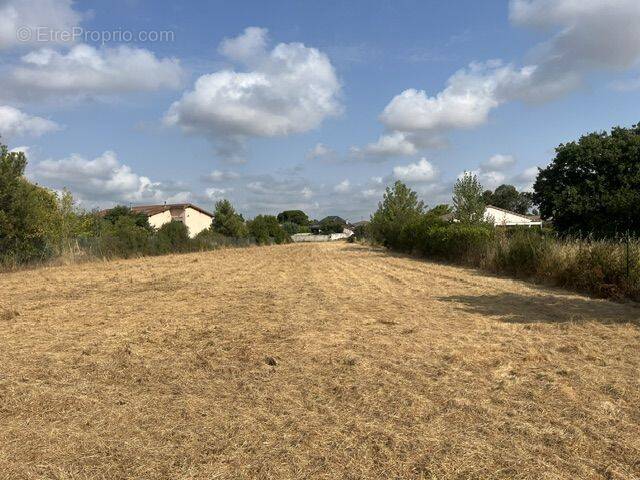 Terrain à COLOMIERS