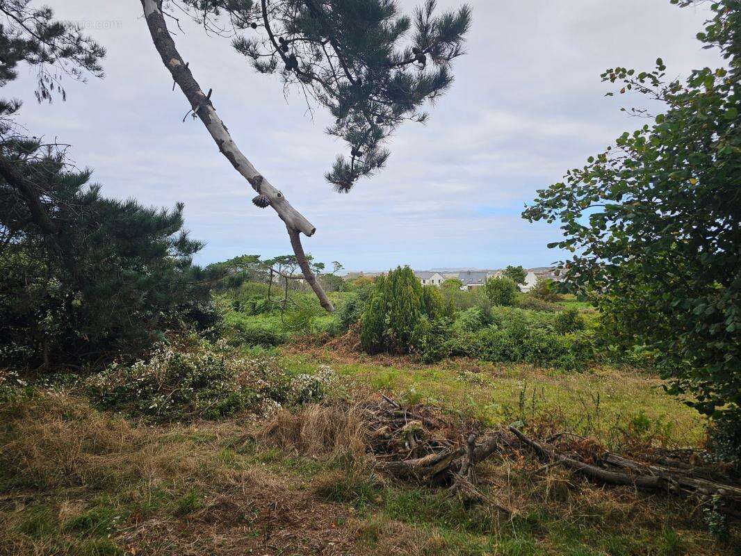 Terrain à TREBEURDEN