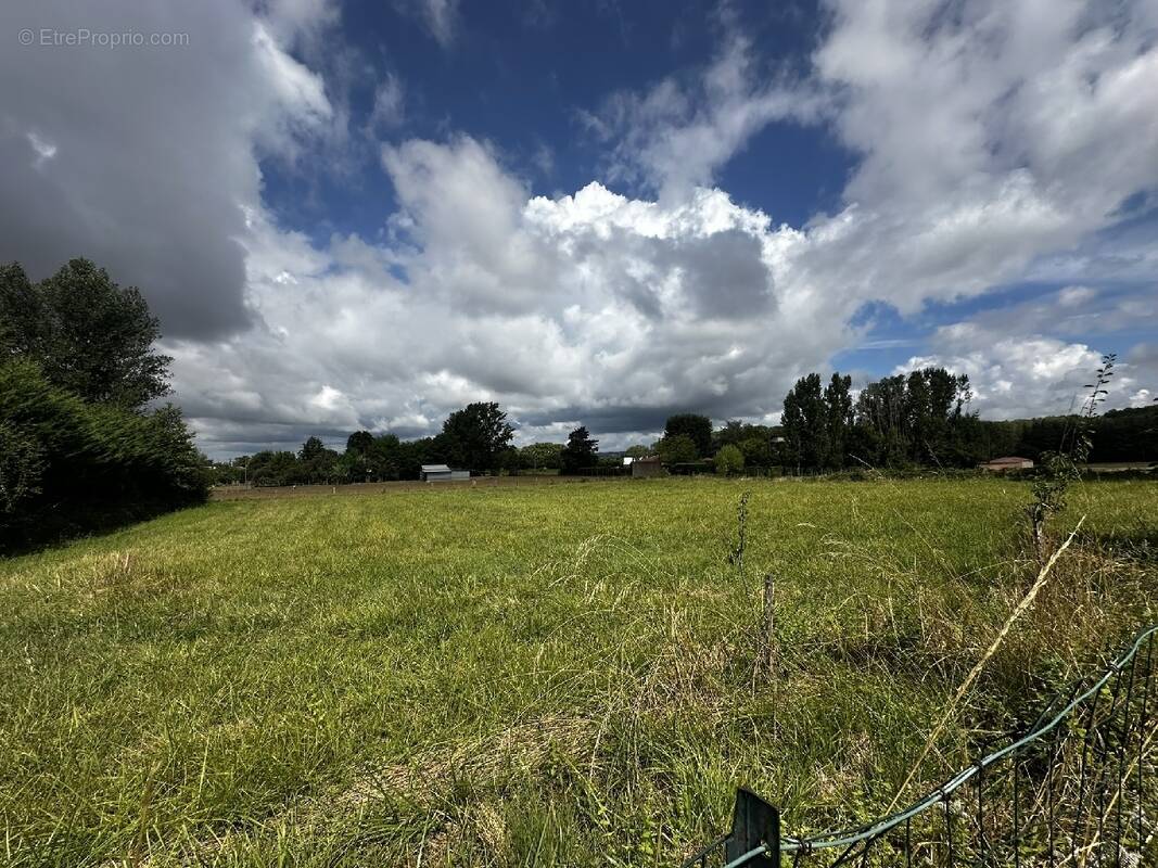 Terrain à ALBI
