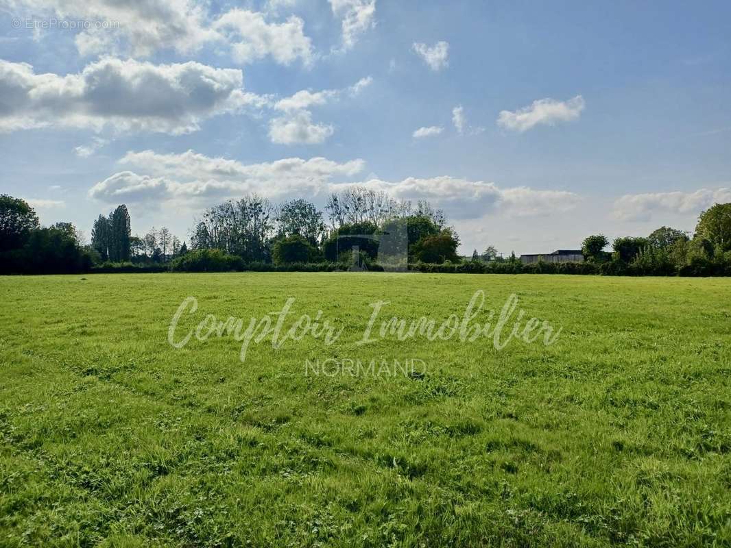 Terrain à LES GRANDES-VENTES