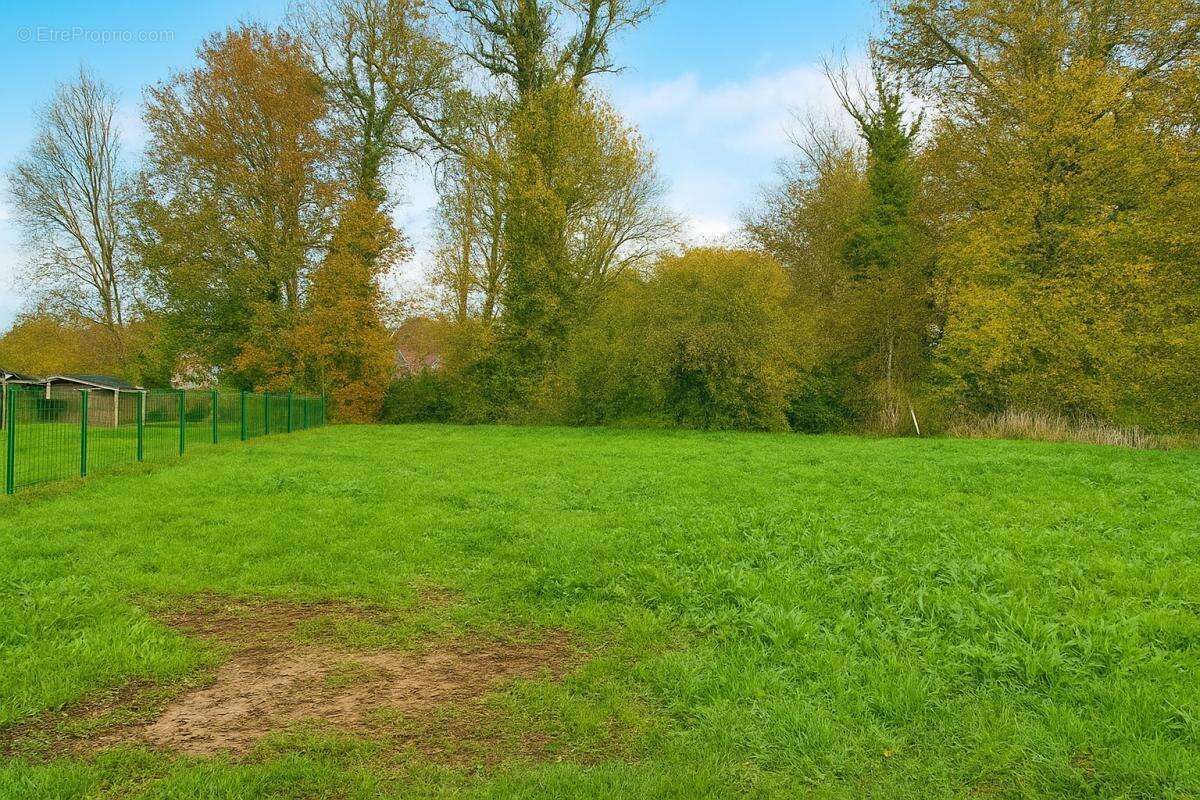 Terrain à NOYELLETTE