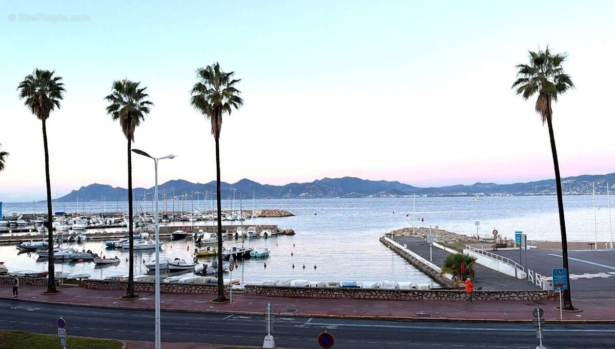 Croisette Palm Beach - 2 pièces de 43m2 avec grande terrasse sur mer - photo 2