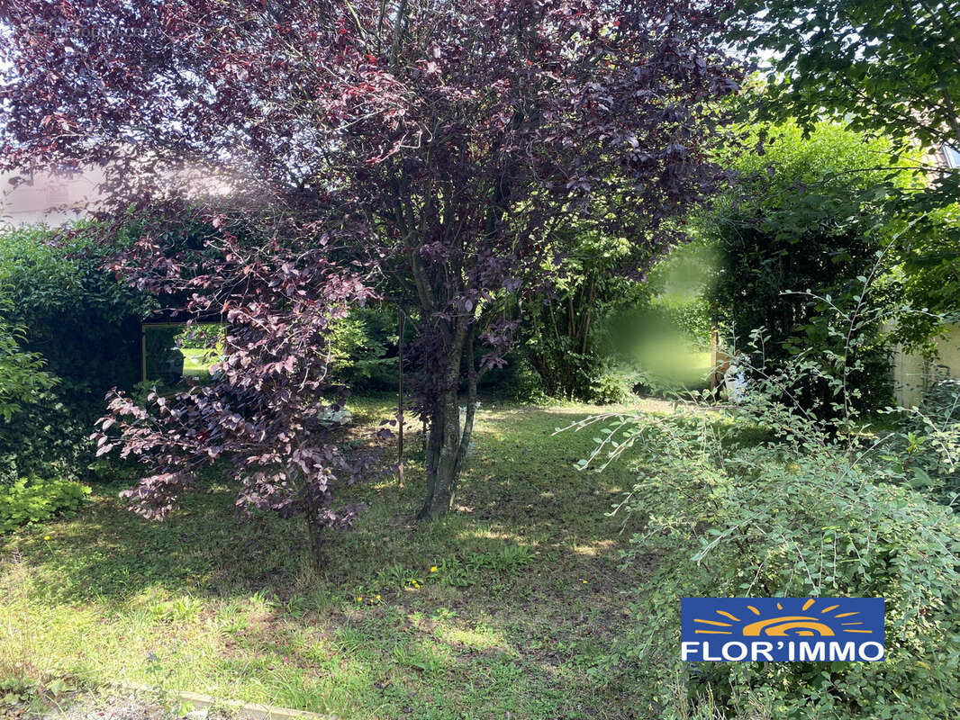 Terrain à SAINTE-GENEVIEVE-DES-BOIS